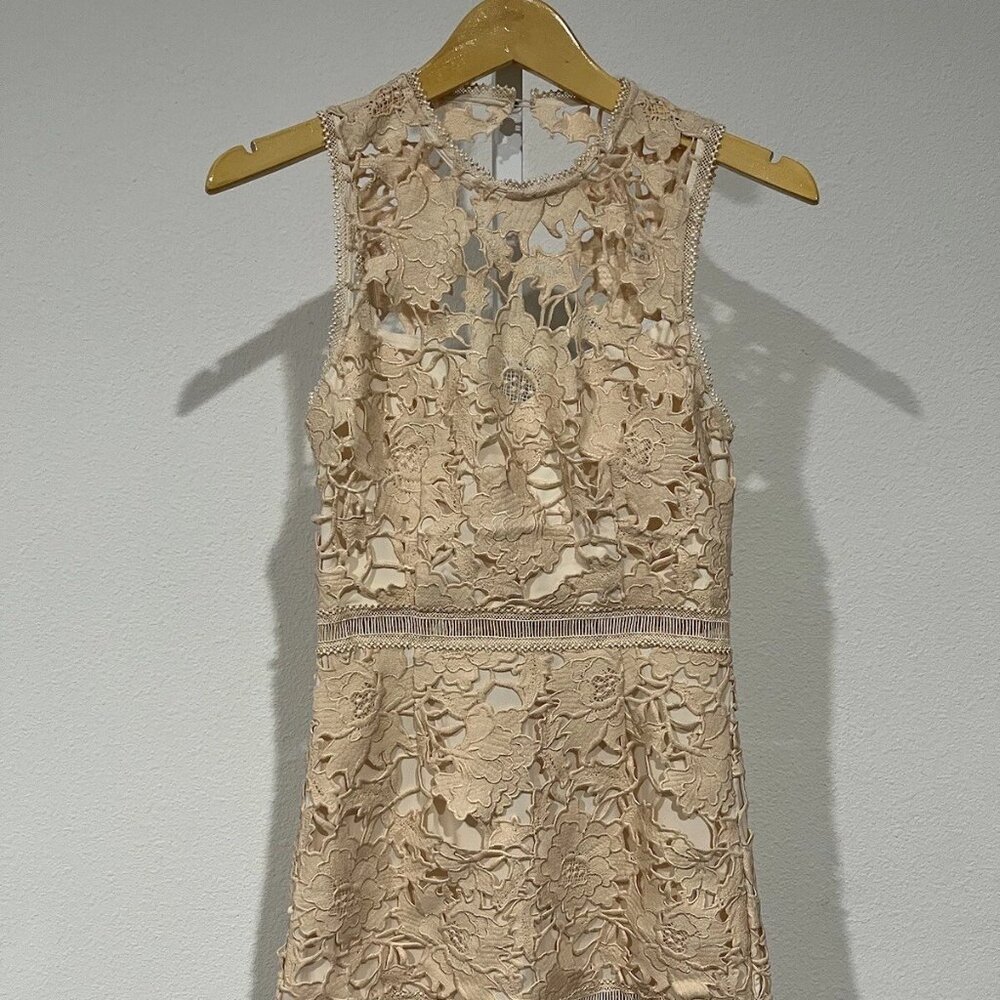 Saylor Women Nude Lace Casual Dress Sz S NEW